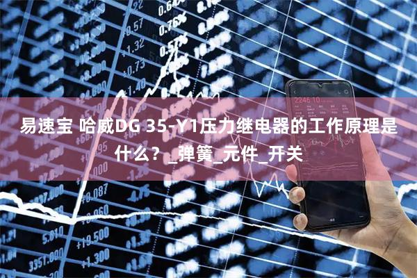 易速宝 哈威DG 35-Y1压力继电器的工作原理是什么？_弹簧_元件_开关