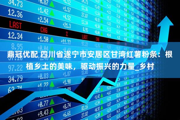鼎冠优配 四川省遂宁市安居区甘湾红薯粉条：根植乡土的美味，驱动振兴的力量_乡村