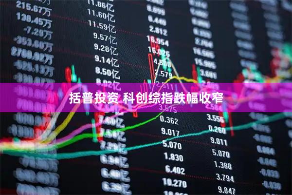 括普投资 科创综指跌幅收窄