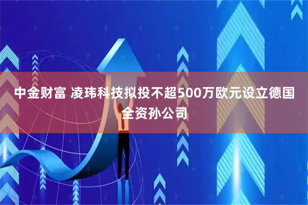 中金财富 凌玮科技拟投不超500万欧元设立德国全资孙公司